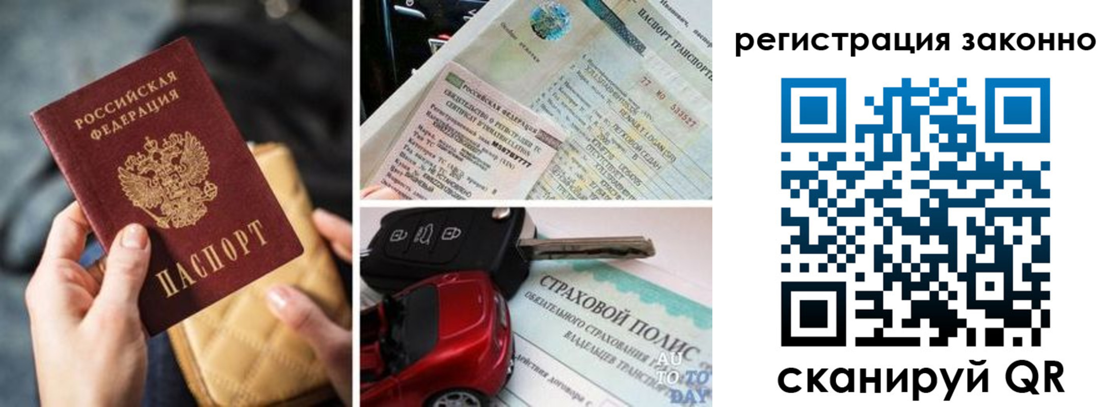 временная прописка в Светлограде